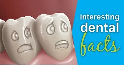 interesting dental facts